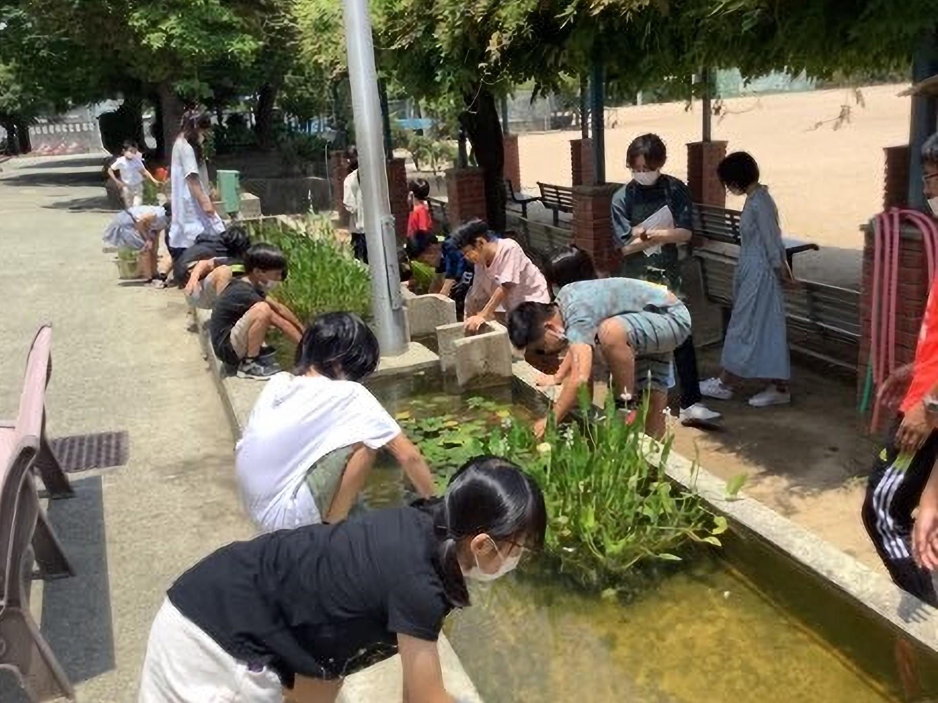 震災をわすれないとりくみ　阪神大震災の遺構「打小の水辺」に学ぼう