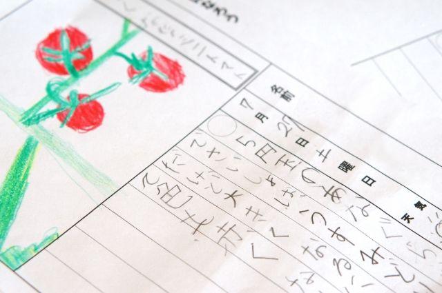 絵日記のイメージ