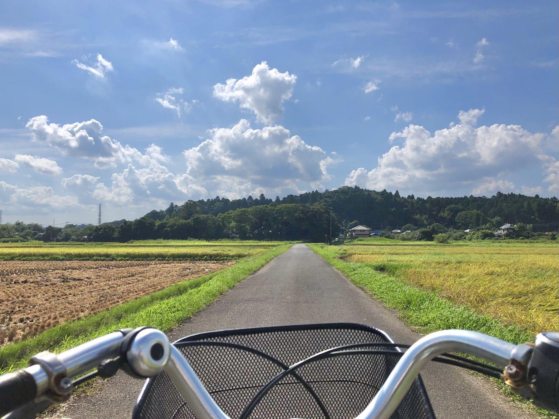 231222 田舎の通学路_m