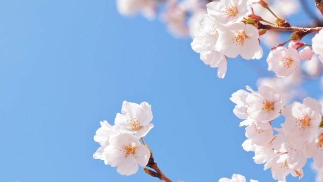 卒業式のイメージ２